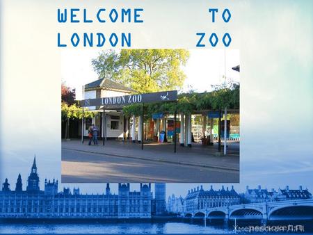 WELCOME TO LONDON ZOO. London Zoo is one of the most famous of all London attractions. It was opened in 1828 by the Zoological Society of London.