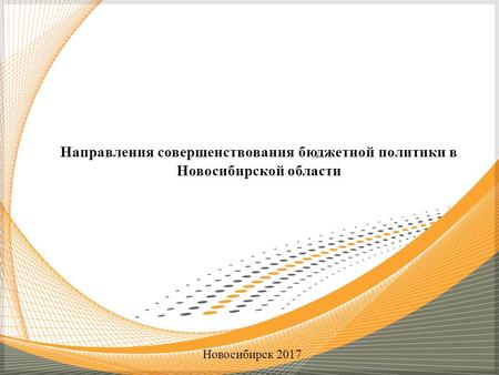 Направления совершенствования бюджетной политики в Новосибирской области Новосибирск 2017.