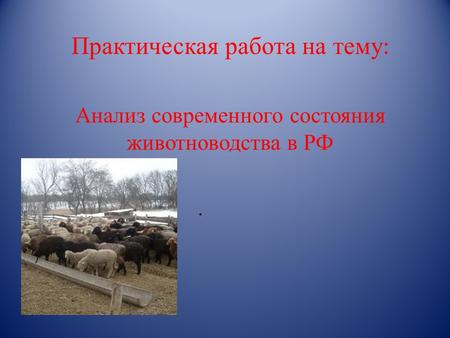 Практическая работа на тему :. Анализ современного состояния животноводства в РФ.