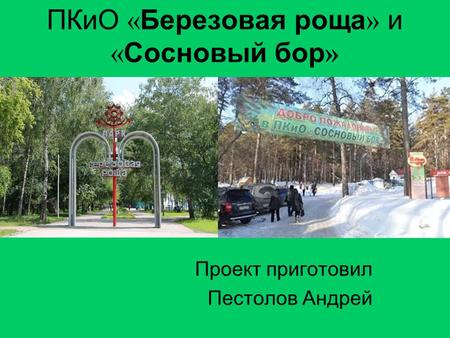 ПКиО « Березовая роща » и « Сосновый бор » Проект приготовил Пестолов Андрей.