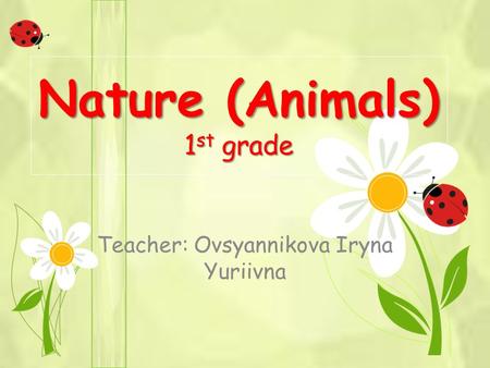 Nature (Animals) 1 st grade Teacher: Ovsyannikova Iryna Yuriivna.