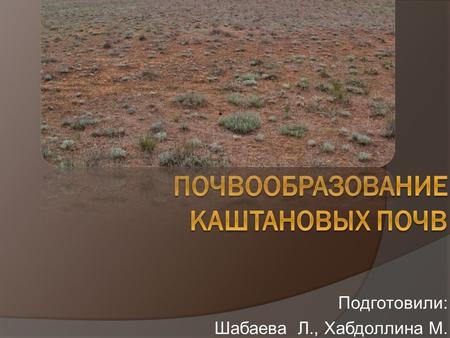 Подготовили: Шабаева Л., Хабдоллина М.. Кашта́новые по́чвы почвы, распространённые в плакорных условиях сухих степей суббореальн ого пояса, в Казахстане.