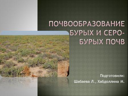 Подготовили: Шабаева Л., Хабдоллина М.. Серо-бурые почвы являются зональным типом почв суббореальных и субтропических пустынь. Они занимают в пределах.