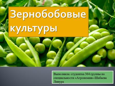 Выполнила: студентка 304 группы по специальности «Агрономия»-Шабаева Линура.