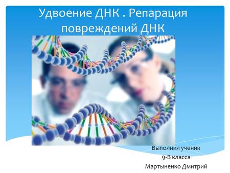 Удвоение ДНК. Репарация повреждений ДНК Выполнил ученик 9-В класса Мартыненко Дмитрий.