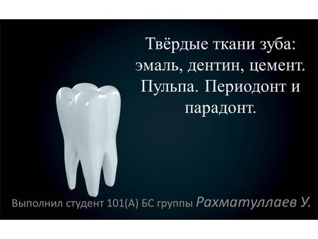 Твёрдые ткани зуба: эмаль, дентин, цемент. Пульпа. Периодонт и парадонт. Выполнил студент 101(А) БС группы Рахматуллаев У.