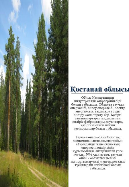 Қостанай облысы Облыс Қазақстанның индустриалды өңірлерінің бірі болып табылады. Облыста тау-кен өнеркәсібі, өңдеу өнеркәсібі, электр энергиясын, газды.