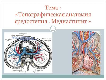 Тема : «Топографическая анатомия средостения. Медиастинит »