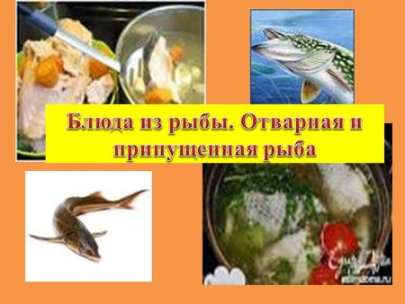Рыбные блюда источник полноценного легкоусвояемого белка. Питательная ценность рыбных блюд зависит от вида рыбы, содержания жира. Необходимо знать содержание.