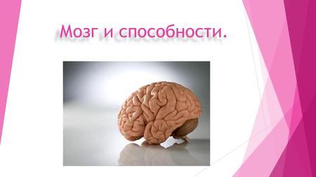 Мозг и способности.. Мозг Мозг человека состоит из правого и левого полушария. Именно они и «руководят» работой всего тела. При этом правое полушарие.