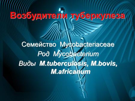 Возбудители туберкулеза Семейство Mycobacteriaceae Род Mycobacterium Виды M.tuberculosis, M.bovis, M.africanum.