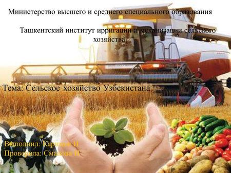 Тема: Сельское хозяйство Узбекистана.