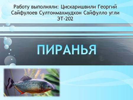 Работу выполняли: Цискаришвили Георгий Сайфулоев Султонмахмудхон Сайфулло угли ЭТ-202.