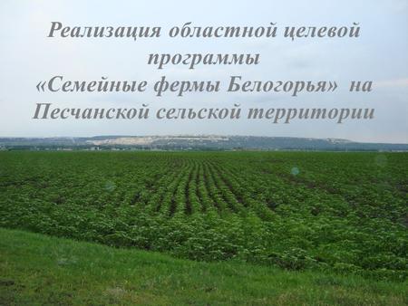 Реализация областной целевой программы «Семейные фермы Белогорья» на Песчанской сельской территории.