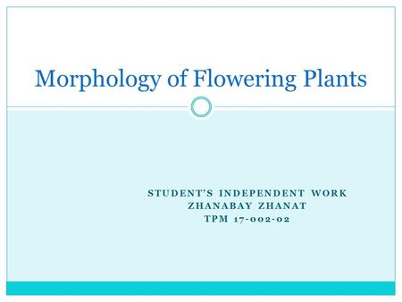 STUDENTS INDEPENDENT WORK ZHANABAY ZHANAT TPM Morphology of Flowering Plants.
