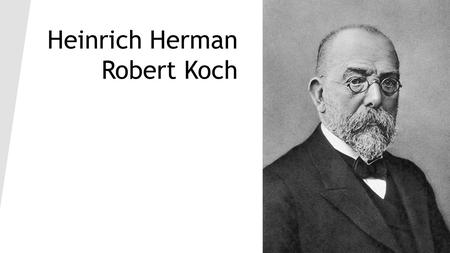 Heinrich Herman Robert Koch. In 1848, without having reached also 5 years, went to local elementary school in 1851 comes to Klaustal's gymnasium In 1862.