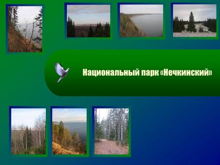 Национальный парк «Нечкинский». Это природоохранное, эколого- просветительское и научно- исследовательское учреждение – создано постановлением Правительства.