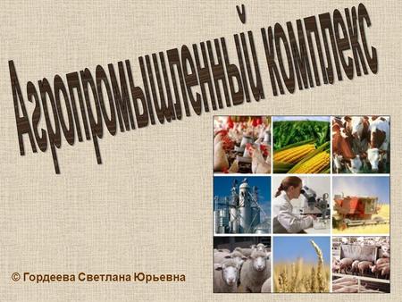 © Гордеева Светлана Юрьевна. Агропромышленный комплекс (АПК) объединяет все отрасли хозяйства, принимающие участие в производстве сельскохозяйственной.