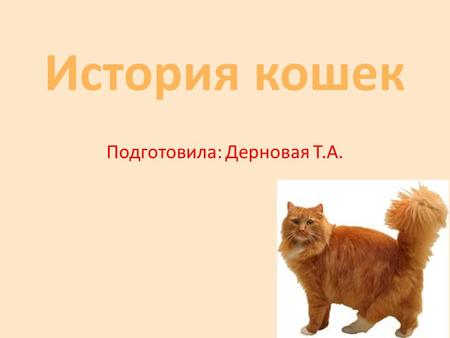 История кошек Подготовила: Дерновая Т.А.. Онцилла.