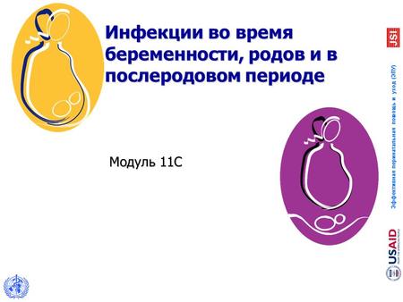 Эффективная перинатальная помощь и уход (ЭПУ) Инфекции во время беременности, родов и в послеродовом периоде Модуль 11C.