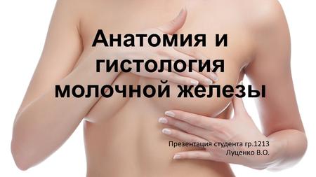 Анатомия и гистология молочной железы Презентация студента гр.1213 Луценко В.О.