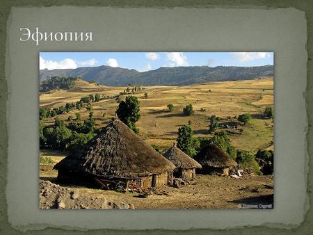 Реферат: Эфиопия 3