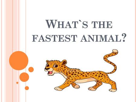 W HAT ` S THE FASTEST ANIMAL ?. AIMS : The learners can use comparison and superlative forms of adjectives in their speech or use them in written form.