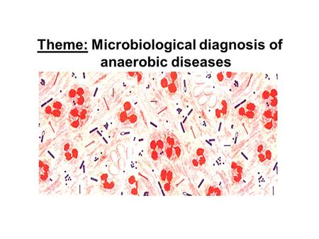 Theme: Microbiological diagnosis of anaerobic diseases.