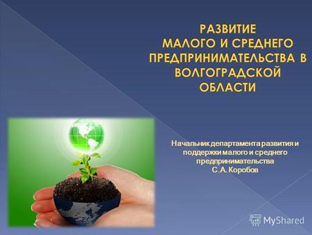 Начальник департамента развития и поддержки малого и среднего предпринимательства С.А. Коробов.