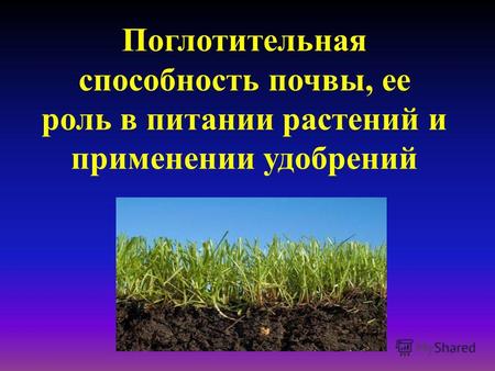Поглотительная способность почвы, ее роль в питании растений и применении удобрений.