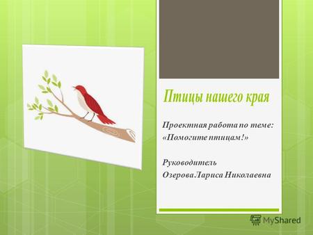 Проектная работа по теме: «Помогите птицам!» Руководитель Озерова Лариса Николаевна.