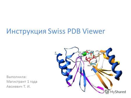 Инструкция Swiss PDB Viewer Выполнила: Магистрант 1 года Авсиевич Т. И.