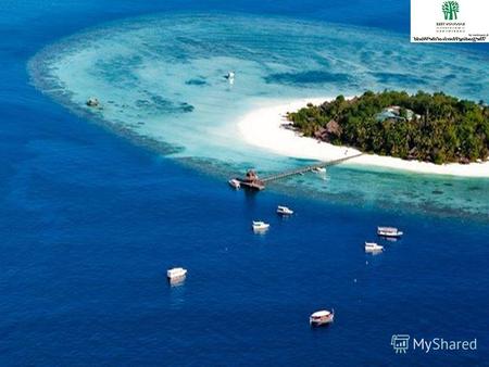 Расположение на острове Вабинфару (Vabbinfaru), в Северном Мале Атолле (North Male Atoll), в 16 км. от международного аэропорта Хулуле (Hulhule) и столицы.