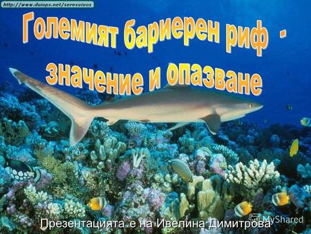 Презентацията е на Ивелина Димитрова. Големият бариерен риф е защитен в списъка на световното наследство от 1981 г. насам.Големият бариерен риф е защитен.