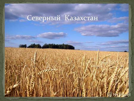 Северный Казахстан. Северный Казахстан экономико-географический регион в составе республики Казахстан. В настоящее время в его состав входят: Северо-Казахстанская.