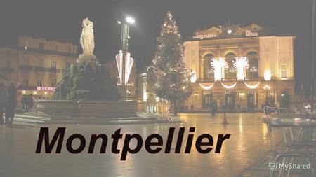 Монпелье - один из крупнейших городов на юге Франции, восьмой по размеру во всей стране, административный центр региона Лангедок - Руссильон и департамента.