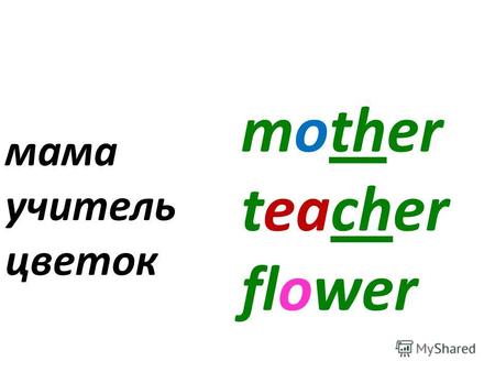 mother teacher flower мама учитель цветок mother teacher flower мама учитель цветок.