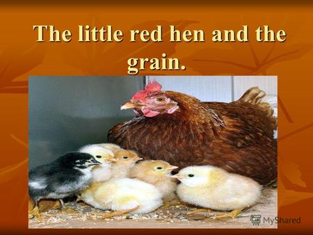 The little red hen and the grain. The little red hen and the grain.