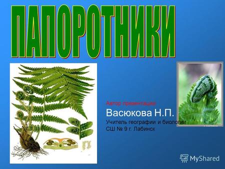 Автор презентации: Васюкова Н.П. Учитель географии и биологии СШ 9 г. Лабинск.
