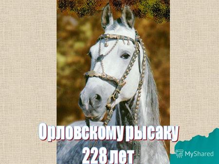 ЛОШАДЬ СТОЛЕТИЯ Этот серый великан, феноменальный Крепыш, родившийся в 1904 году, вошёл в историю не только как трезвейшая лошадь России и победитель.