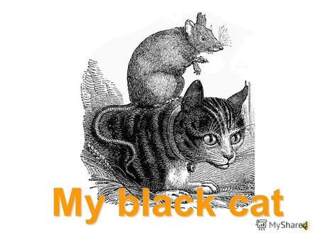 My black cat a cat a rat a black cat and a rat a white cat and a rat.