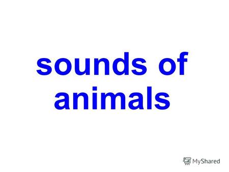 sounds of animals Ослы donkey horse pony cow.