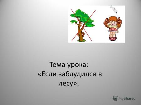 Тема урока: «Если заблудился в лесу».. Цели урока: 1. Познакомиться с правилами поведения в условиях автономного существования в природной среде, способами.