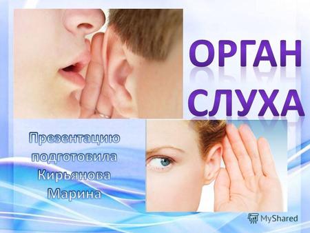 Ушная сера нужна для смазки и очистки ушных каналов, также она выполняет противомикробную функцию. Убирать лишнюю серу следует только в наружной части.