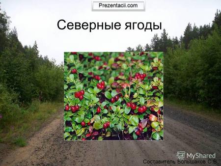 Северные ягоды Составитель Большаков С.В. Prezentacii.com.