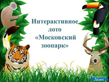 ProPowerPoint.ru Далее Интерактивное лото «Московский зоопарк»