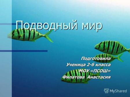 Подводный мир Подготовила Ученица 2-б класса МОУ «ПСОШ» Филатова Анастасия.