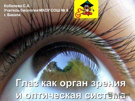 Глаз как орган зрения и оптическая система Кобелева С.А. Учитель биологии МКОУ СОШ 8 г. Бакала.