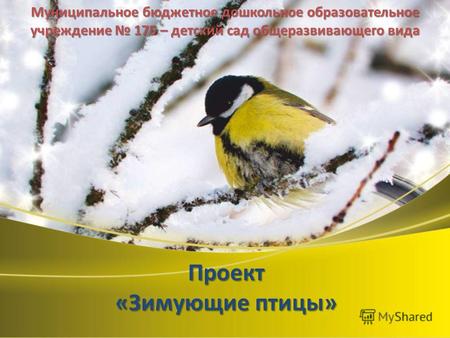 Проект «Зимующие птицы» Муниципальное бюджетное дошкольное образовательное учреждение 175 – детский сад общеразвивающего вида.