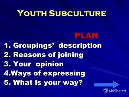 Youth Subculture PLAN PLAN 1. Groupings description 2. Reasons of joining 3. Your opinion 4. Ways of expressing 5. What is your way?